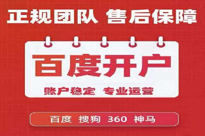 某知名品牌网络推广竞价全解析